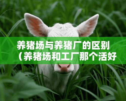 养猪场与养猪厂的区别（养猪场和工厂那个活好干）