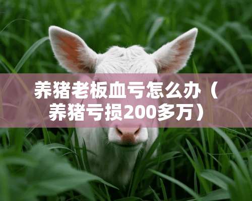 养猪老板血亏怎么办（养猪亏损200多万）