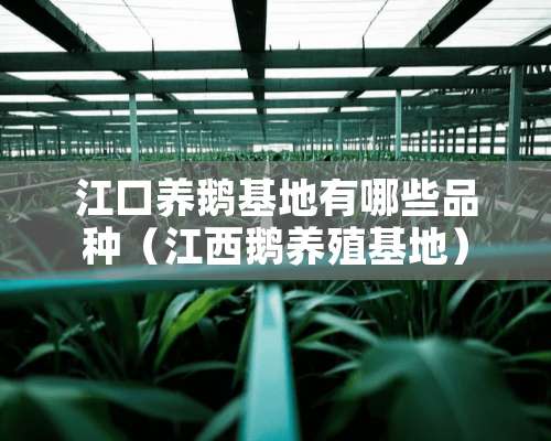 江口养鹅基地有哪些品种（江西鹅养殖基地）