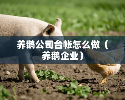 养鹅公司台帐怎么做（养鹅企业）