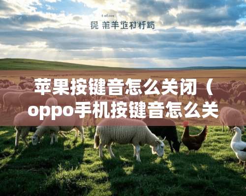 苹果按键音怎么关闭（oppo手机按键音怎么关闭）