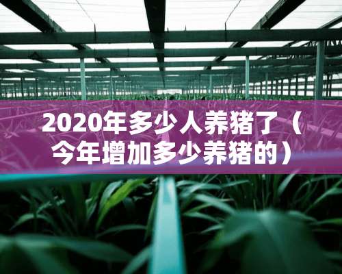 2020年多少人养猪了（今年增加多少养猪的）