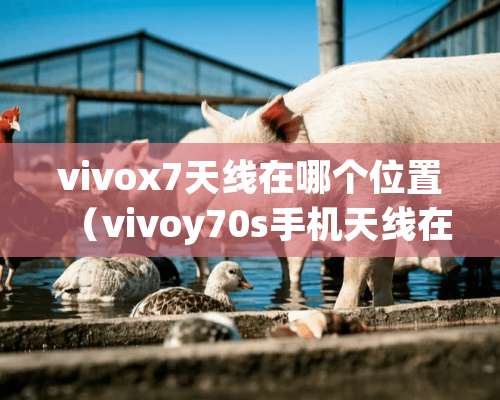 vivox7天线在哪个位置（vivoy70s手机天线在哪个位置）