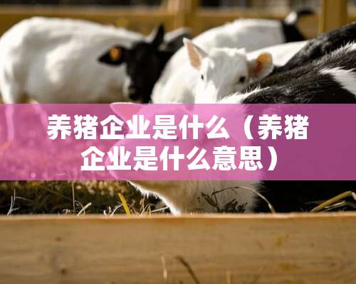 养猪企业是什么（养猪企业是什么意思）