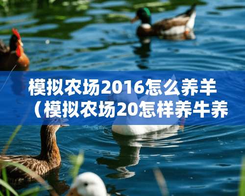 模拟农场2016怎么养羊（模拟农场20怎样养牛养羊视频）