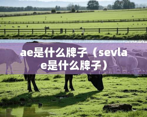 ae是什么牌子（sevlae是什么牌子）