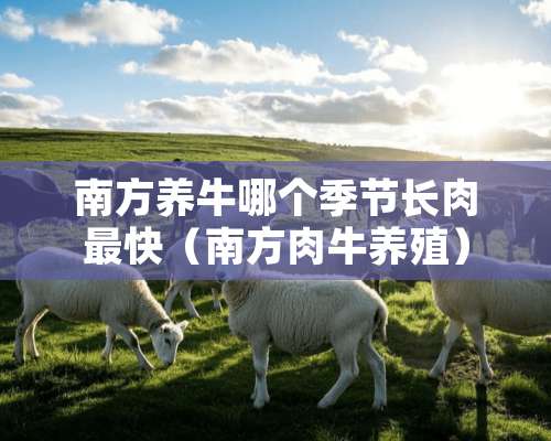 南方养牛哪个季节长肉最快（南方**养殖）