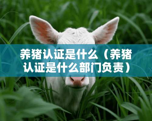 养猪认证是什么（养猪认证是什么部门负责）