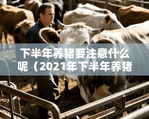 下半年养猪要注意什么呢（2021年下半年养猪怎么样）