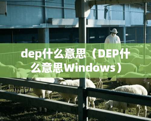 dep什么意思（DEP什么意思Windows）