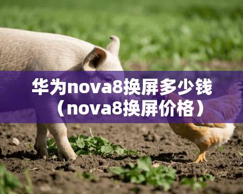 华为nova8换屏多少钱（nova8换屏价格）