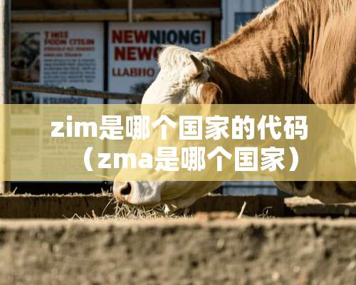 zim是哪个国家的代码（zma是哪个国家）