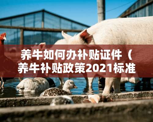 养牛如何办补贴**（养牛补贴政策2021标准怎么申请）