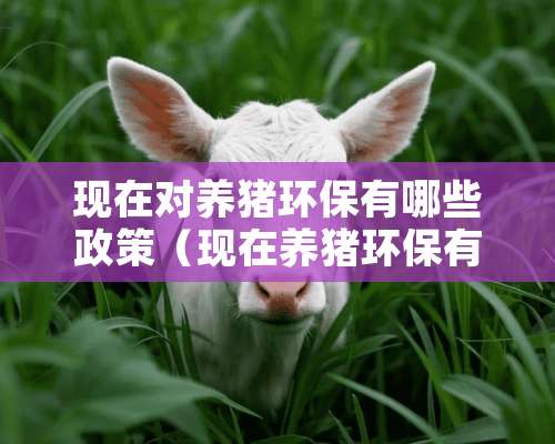 现在对养猪环保有哪些政策（现在养猪环保有新的政策）