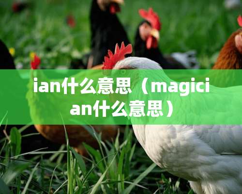 ian什么意思（magician什么意思）