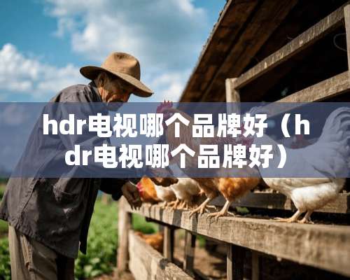 hdr电视哪个品牌好（hdr电视哪个品牌好）