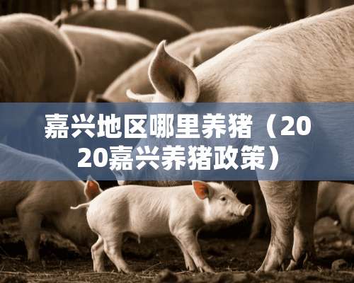 嘉兴地区哪里养猪（2020嘉兴养猪政策）