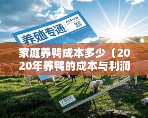 家庭养鸭成本多少（2020年养鸭的成本与利润）