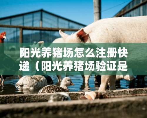 阳光养猪场怎么注册快递（阳光养猪场验证是安全的吗）