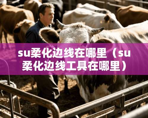 su柔化边线在哪里（su柔化边线工具在哪里）