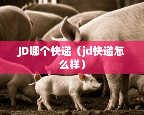 JD哪个快递（jd快递怎么样）