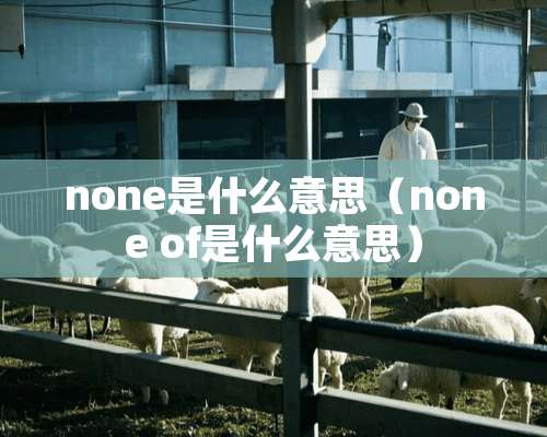 none是什么意思（none of是什么意思）