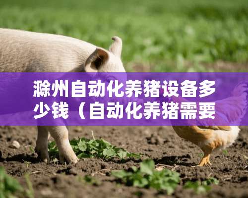 滁州自动化养猪设备多少钱（自动化养猪需要多少钱）