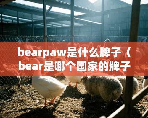 bearpaw是什么牌子（bear是哪个国家的牌子）