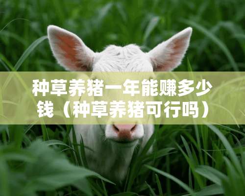 种草养猪一年能赚多少钱（种草养猪可行吗）