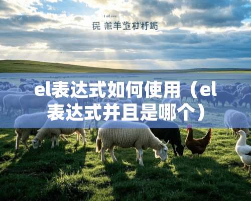 el表达式如何使用（el表达式并且是哪个）