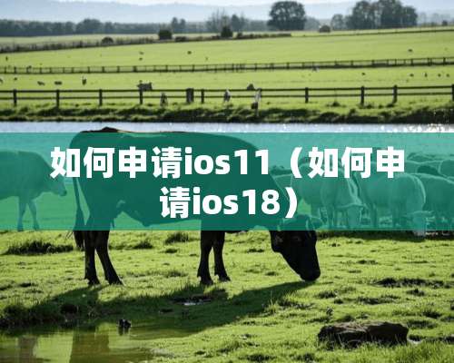 如何申请ios11（如何申请ios18）