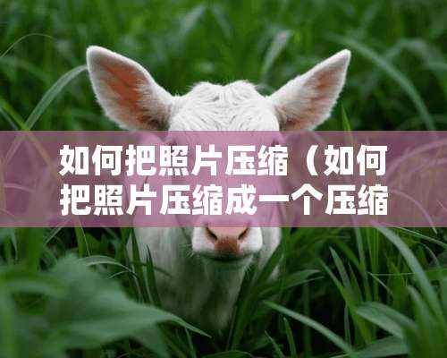 如何把照片压缩（如何把照片压缩成一个压缩包）