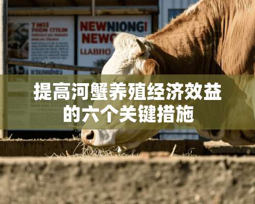 提高河蟹养殖经济效益的六个关键措施