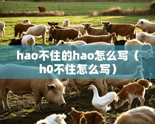 hao不住的hao怎么写（h0不住怎么写）