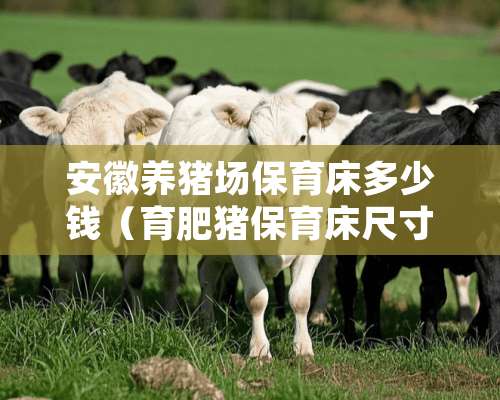 安徽养猪场保育床多少钱（育肥猪保育床尺寸）