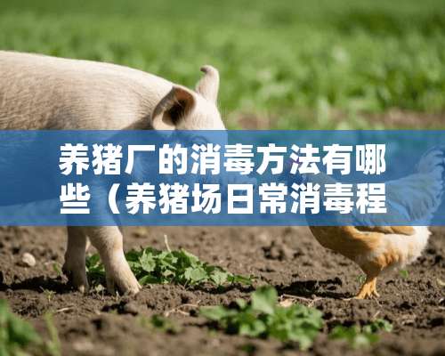 养猪厂的消毒方法有哪些（养猪场日常消毒程序）