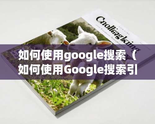 如何使用google搜索（如何使用Google搜索引擎）