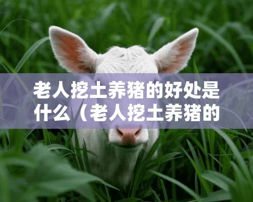 老人挖土养猪的好处是什么（老人挖土养猪的好处是什么意思）