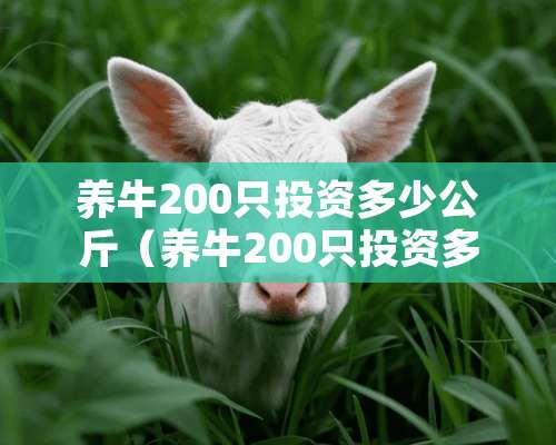 养牛200只投资多少公斤（养牛200只投资多少公斤合适）