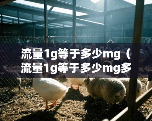 流量1g等于多少mg（流量1g等于多少mg多少m）