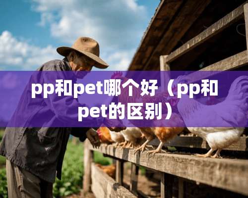 pp和pet哪个好（pp和pet的区别）