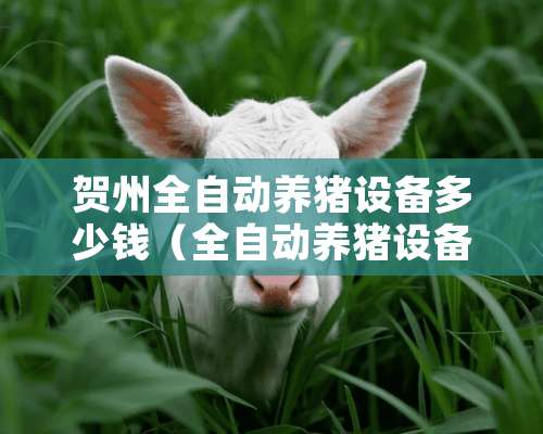 贺州全自动养猪设备多少钱（全自动养猪设备公司）