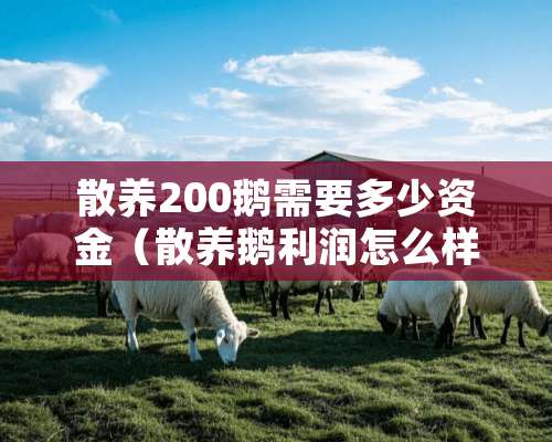 散养200鹅需要多少资金（散养鹅利润怎么样）