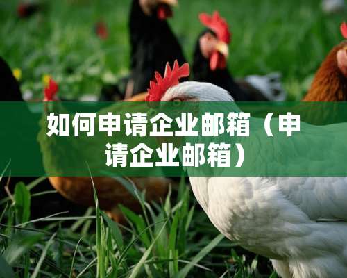 如何申请企业邮箱（申请企业邮箱）