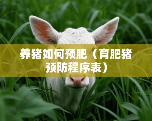 养猪如何预肥（育肥猪预防程序表）