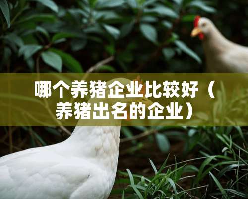 哪个养猪企业比较好（养猪出名的企业）