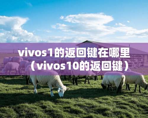 vivos1的返回键在哪里（vivos10的返回键）