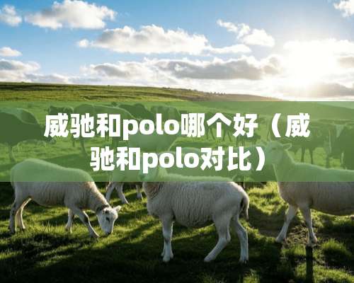 威驰和polo哪个好（威驰和polo对比）