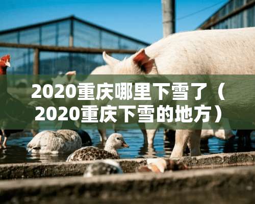 2020重庆哪里下雪了（2020重庆下雪的地方）