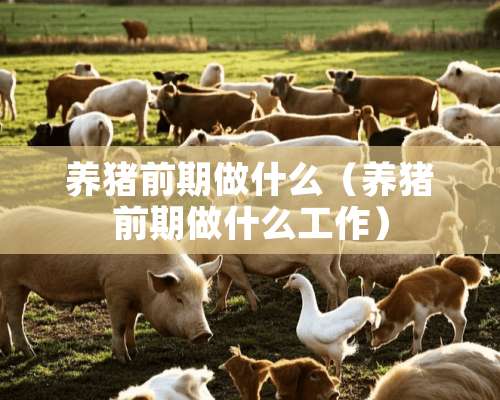 养猪前期做什么（养猪前期做什么工作）